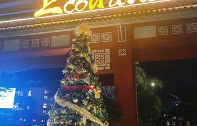 Giáng sinh Ecogarden! 